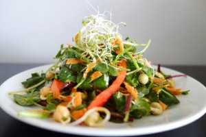 Sprout Salad
