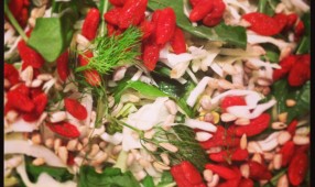 Rocket, Fennel and Goji Berry