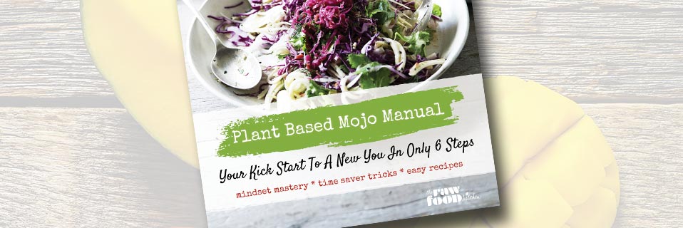 Plan Based Mojo Manual