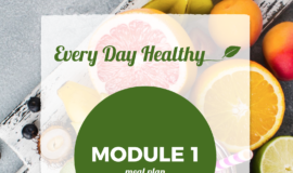 Module1MealPlanScreenGrab Module1MealPlanScreenGrab